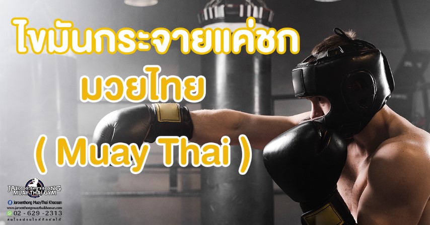 ไขมันกระจายแค่ชก มวยไทย ( Muay Thai) 