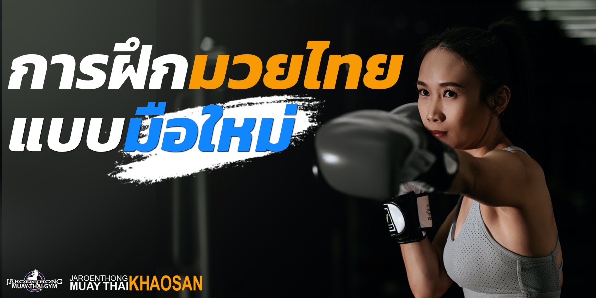 การฝึก มวยไทย ( Muay Thai ) แบบ มือใหม่