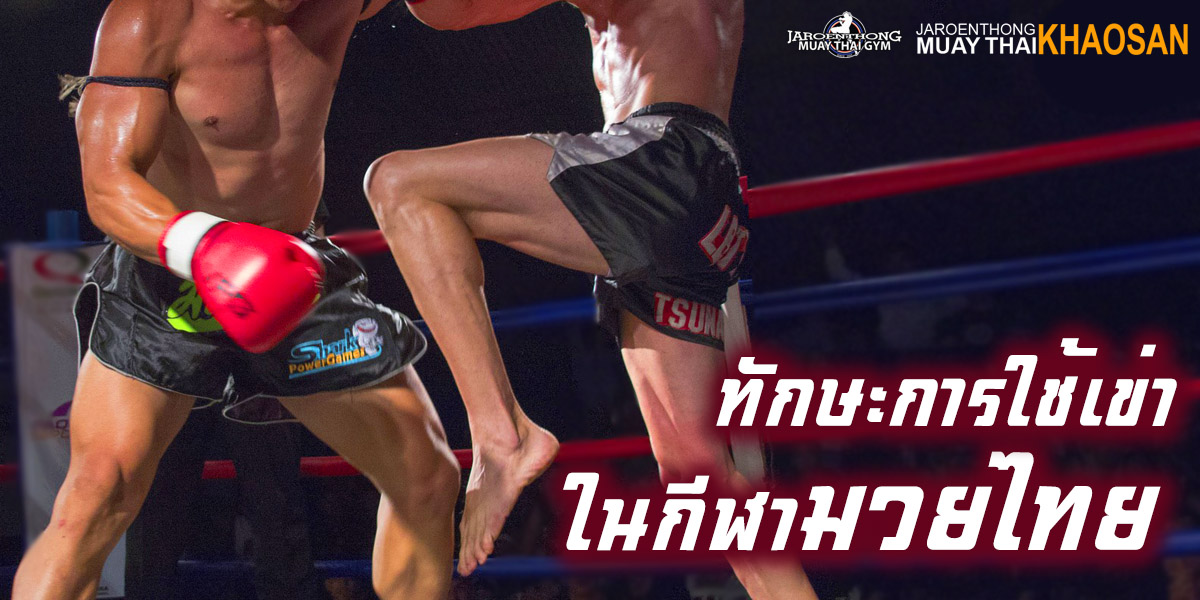 ทักษะ การใช้เข่า ในกีฬา มวยไทย ( Muay Thai )